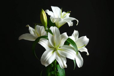 Beautiful white lilies   clipart