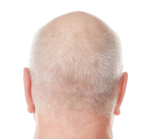Bald senior man on white background — Stock Photo, Image