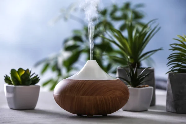 Aroma oil diffuser and succulents — Stock Photo, Image