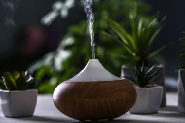 Aroma Yağı difüzör ve succulents 