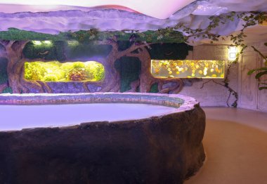 Güzel modern oceanarium iç