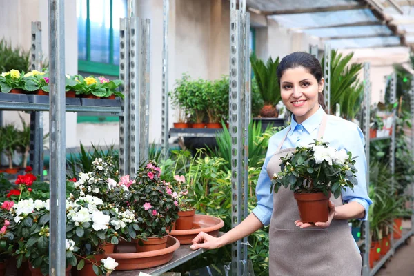 Hermosa florista mujer — Foto de Stock