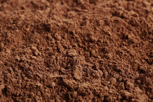 Brown cocoa powder — Stock Photo, Image