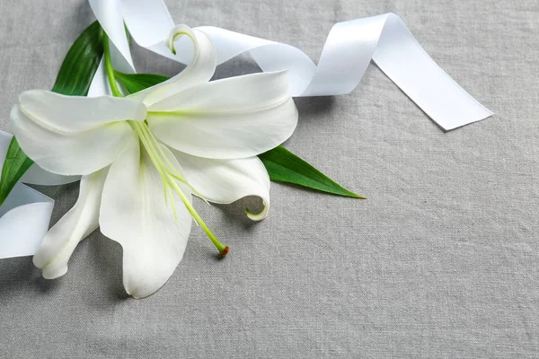 Beautiful lily and ribbon — Stock Photo, Image
