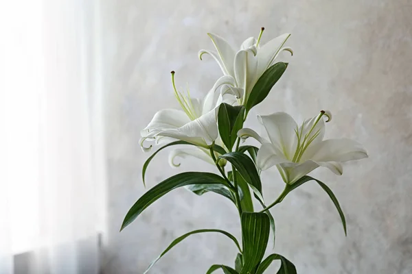 Красиві білі лілії — стокове фото