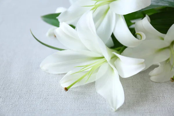 Beautiful white lilies — Stock Photo, Image