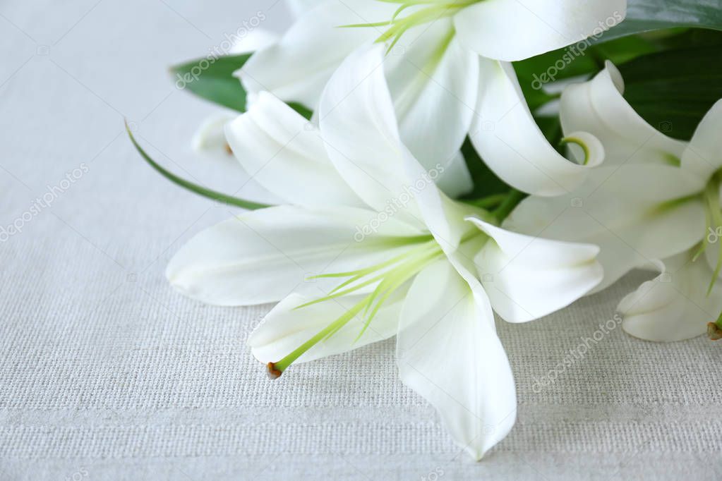 Beautiful white lilies