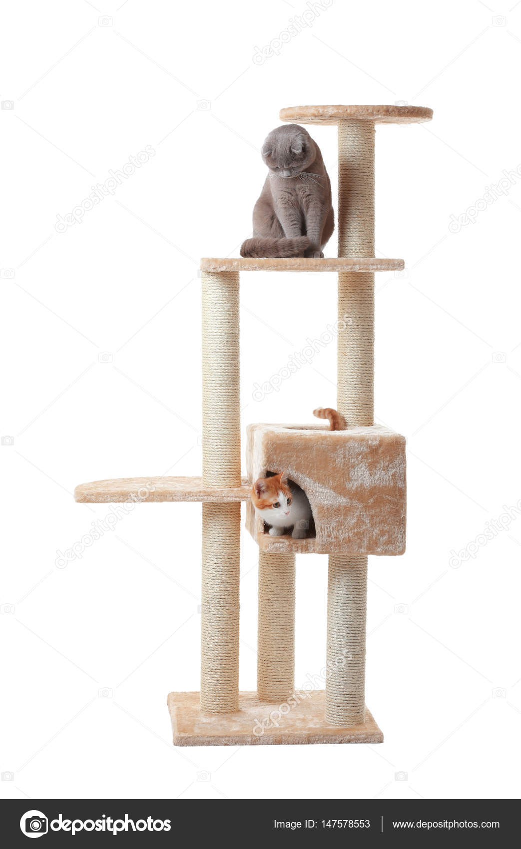 cat tree funny