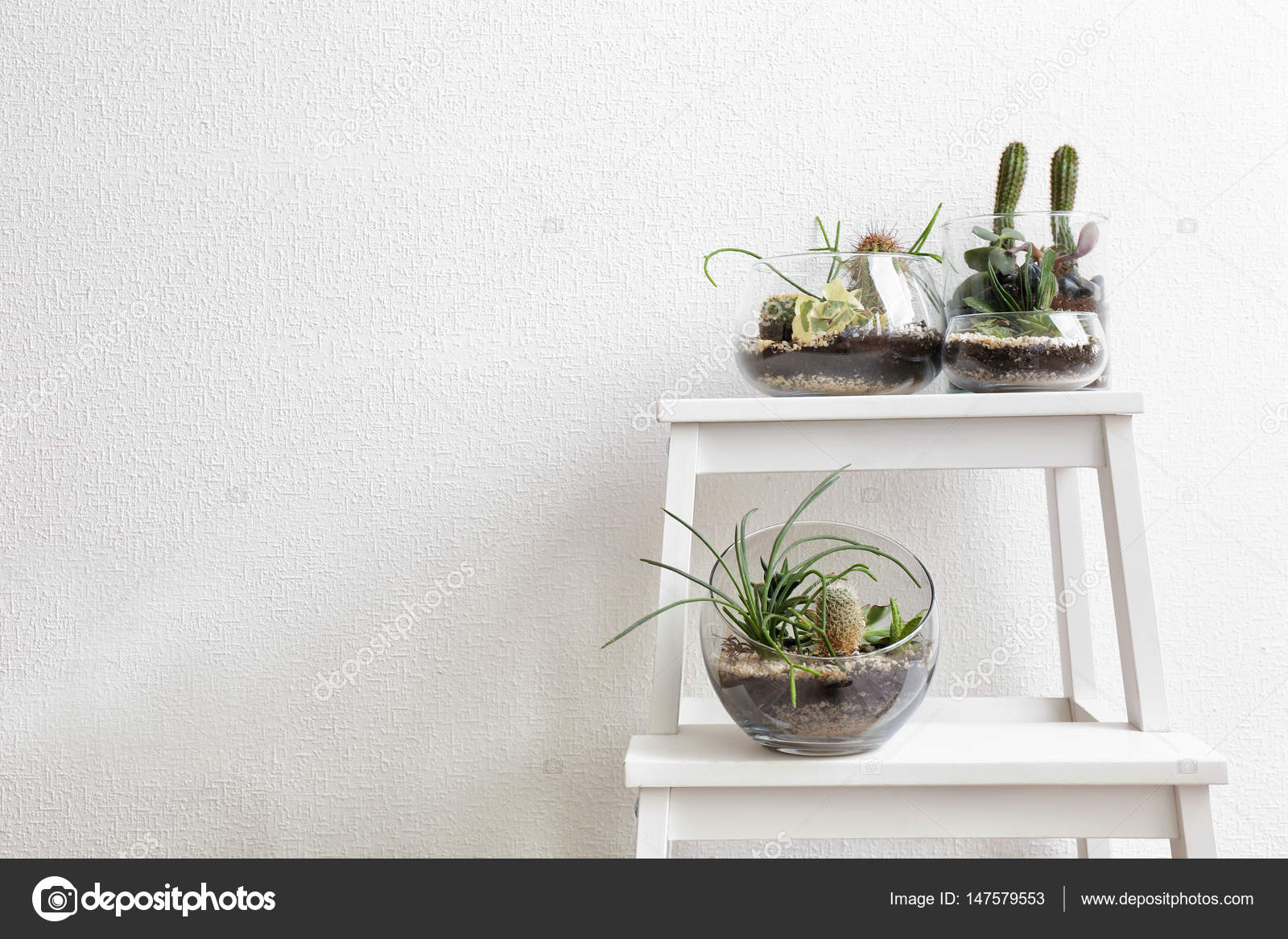 Succulent Gardens In Glass Vases Stock Photo C Belchonock 147579553