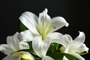 Beautiful white lilies   clipart