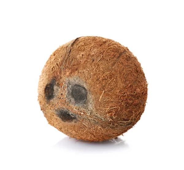 成熟的美味椰子 — 图库照片
