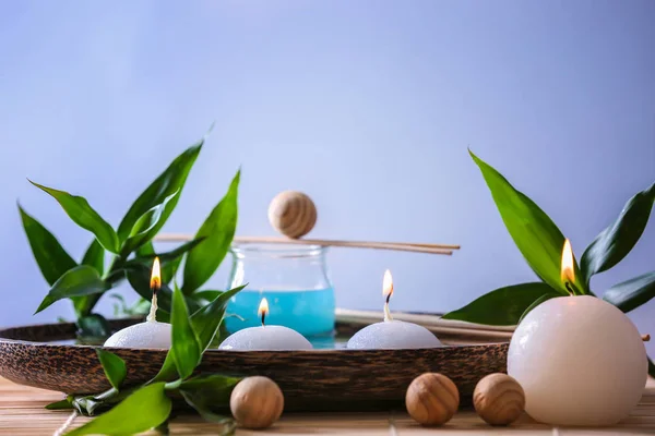 Composición del spa con plantas — Foto de Stock