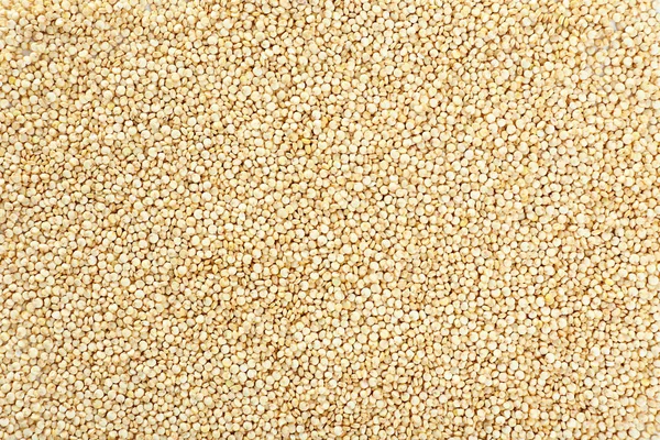 Graines brutes de quinoa — Photo