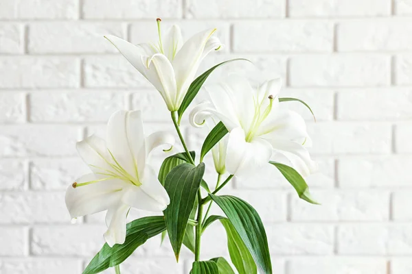 Beautiful white lilies — Stock Photo, Image