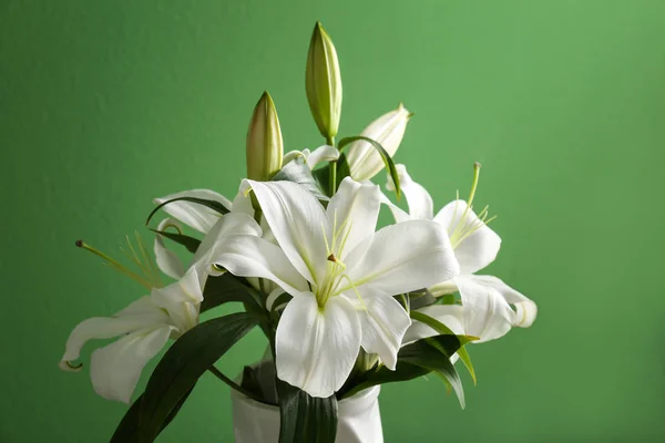 Beautiful white lilies — Stock Photo, Image