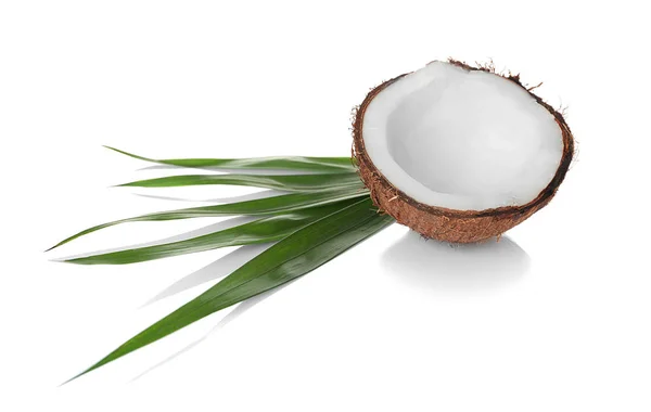 Kokos- en palm bladeren — Stockfoto