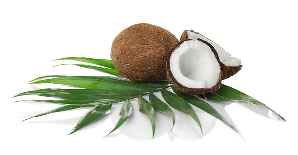 Orzechy kokosowe i palm lleaves — Zdjęcie stockowe