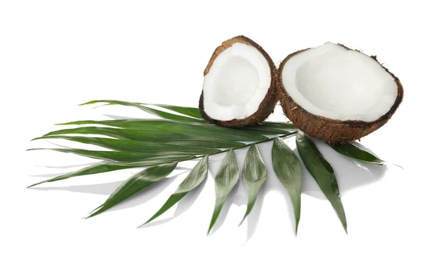 Kokosnoten en palm lleaves — Stockfoto