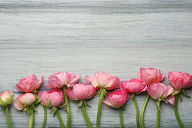 Güzel taze tipik çiçekler 