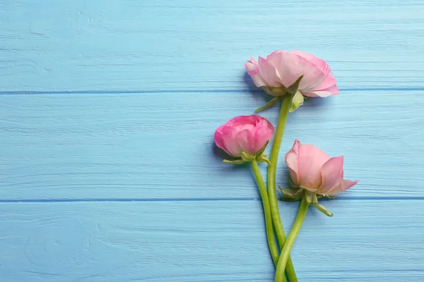 아름 다운 신선한 미나리 아재 비 꽃 — 스톡 사진