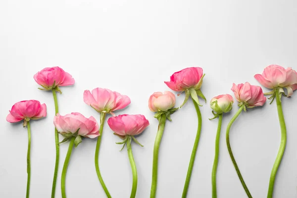 Mooie verse ranunculus bloemen — Stockfoto