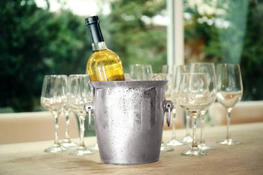 Kova buzlu şarap şişesi