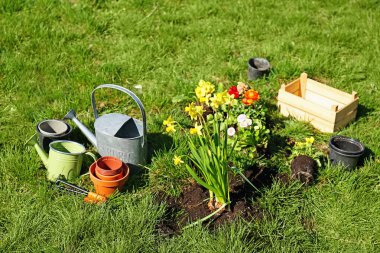 Taze ekili Bahçe çiçeklenir