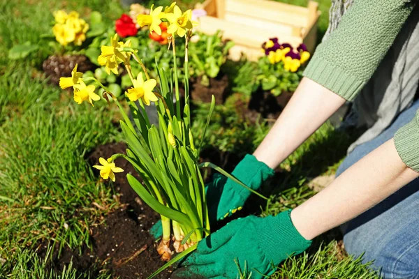 Frau pflanzt Blumen im Garten — Stockfoto