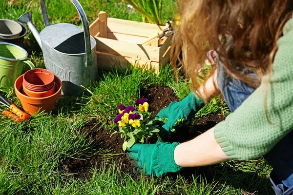 Frau pflanzt Blumen im Garten — Stockfoto