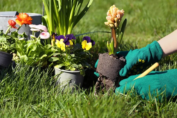 Kvinna plantera blommor i trädgården — Stockfoto