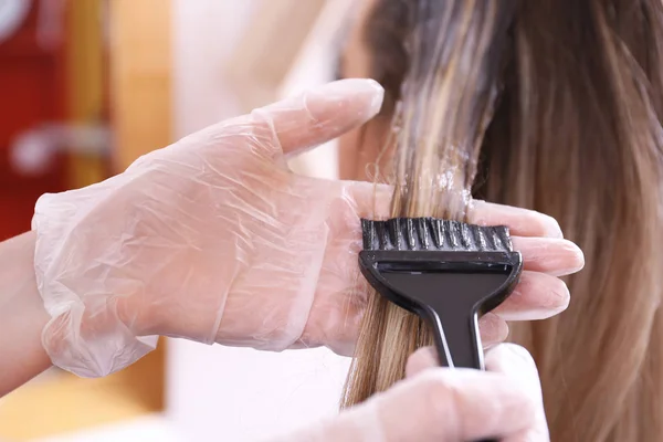 Processus de teinture des cheveux — Photo