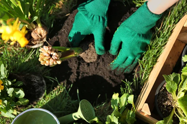 Woman planting flowers in garden — Stock Photo, Image