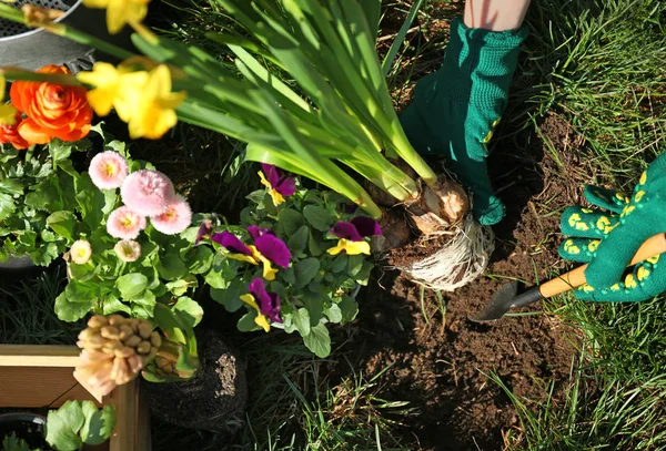 Kvinna plantera blommor i trädgården — Stockfoto