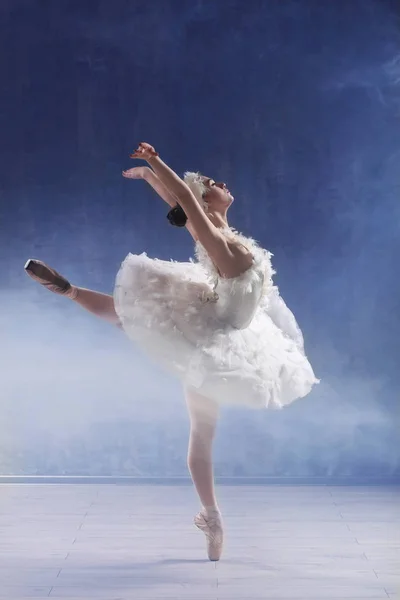 Young beautiful ballerina — Stock Photo, Image