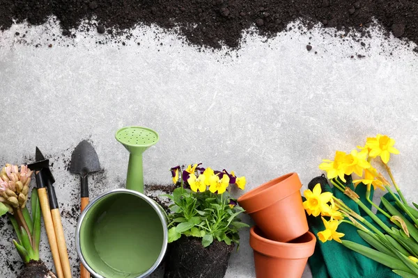 Blommor och trädgårdsredskap — Stockfoto