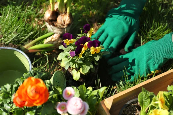 Женщина сажает цветы в саду — стоковое фото
