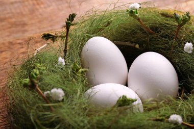 Paskalya yumurta yuvada çiçeklerle süslenmiş