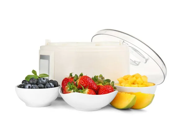 Yogurt maker moderno e ingredienti — Foto Stock