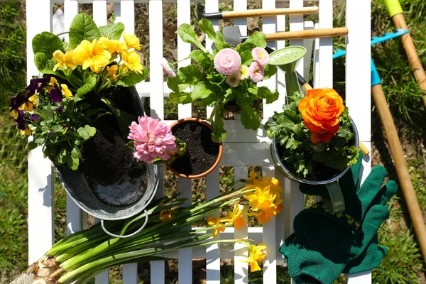 Plantas en mesa de jardín — Foto de Stock