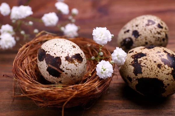 Easter eggs, nest and flowers — Stock Photo, Image