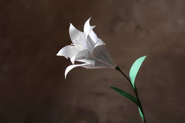 Beautiful paper lily — Stock Photo, Image