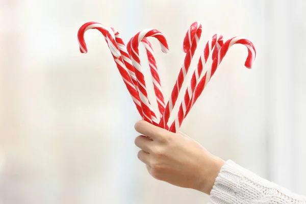 Hand holding bunch of candy canes — Stock Photo, Image