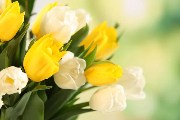 Schöner Strauß weißer und gelber Tulpen — Stockfoto