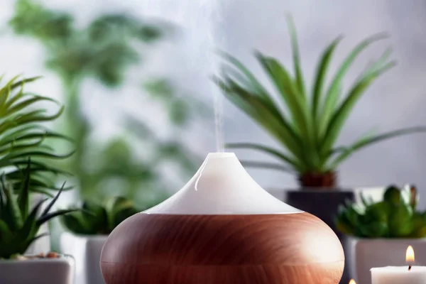 Aroma oil diffuser and plants — Stock Photo, Image