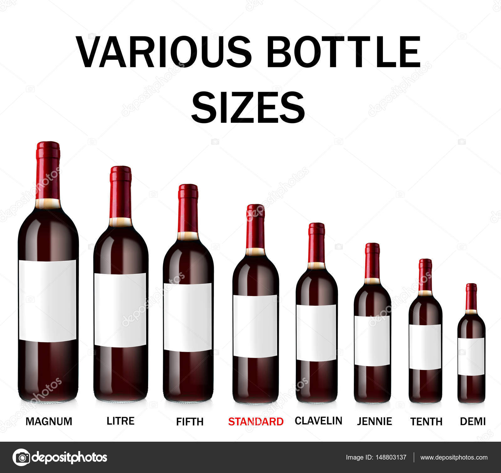 Bottle Size Comparison