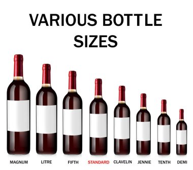 Different wine bottle sizes  clipart