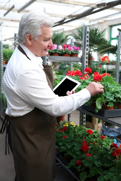 Florista masculino com tablet — Fotografia de Stock