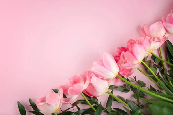 Mooie roze tulpen — Stockfoto