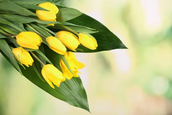 Schöner Strauß gelber Tulpen — Stockfoto
