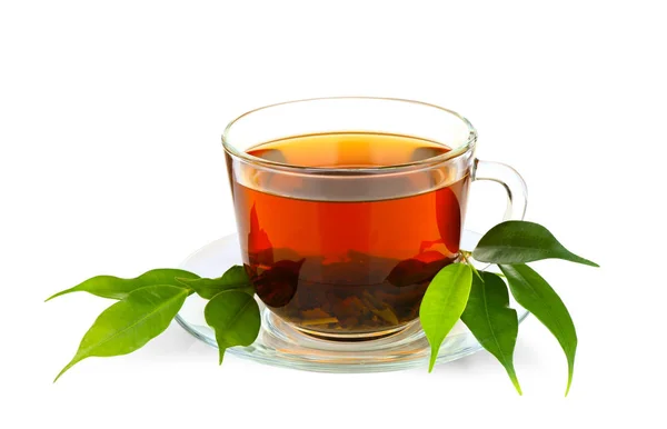 Tazza di tè e foglie verdi — Foto Stock